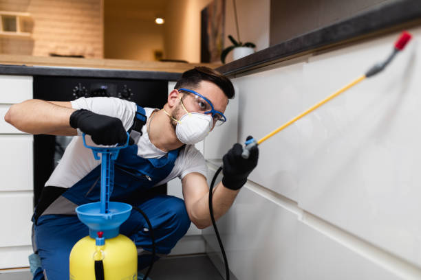 Best Mosquito Control Services  in Oakhurst, NJ