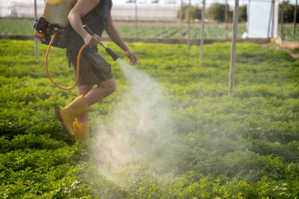Best Mosquito Control Services  in Oakhurst, NJ