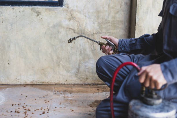 Best Pest Control Treatment  in Oakhurst, NJ